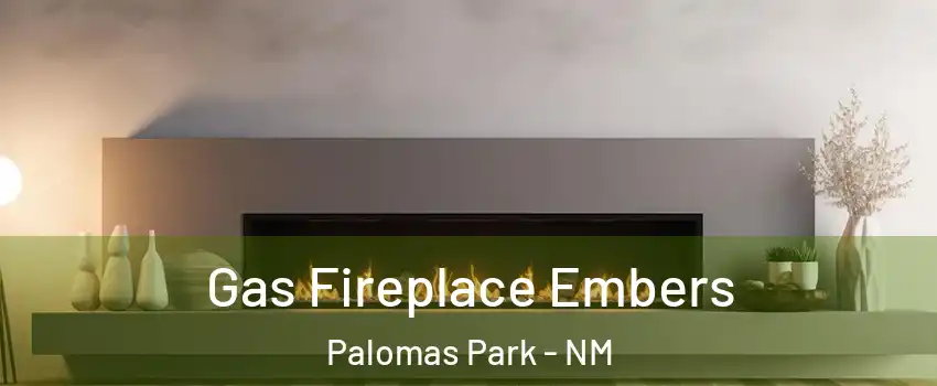 Gas Fireplace Embers Palomas Park - NM