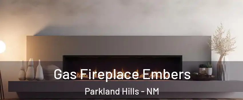 Gas Fireplace Embers Parkland Hills - NM