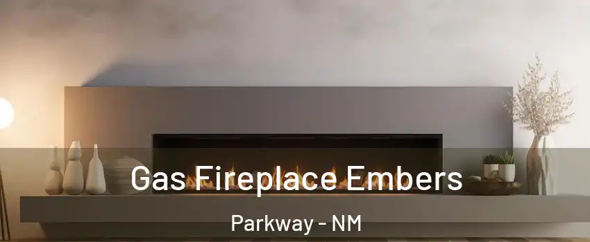 Gas Fireplace Embers Parkway - NM