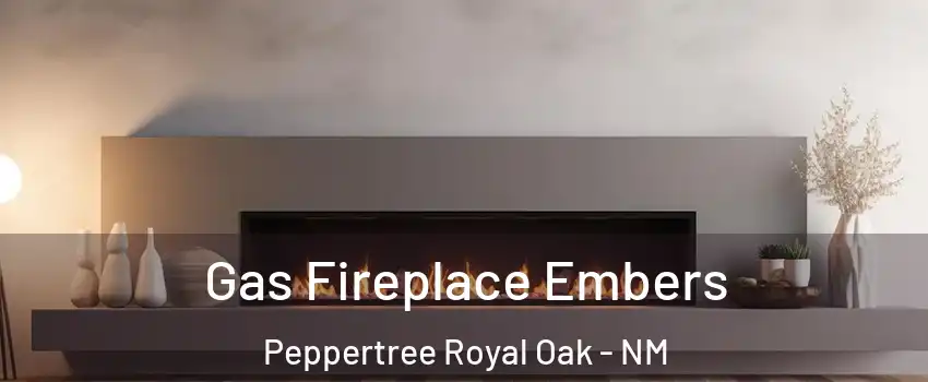 Gas Fireplace Embers Peppertree Royal Oak - NM