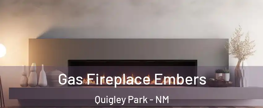 Gas Fireplace Embers Quigley Park - NM