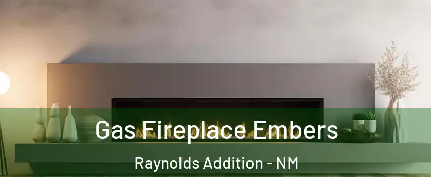 Gas Fireplace Embers Raynolds Addition - NM