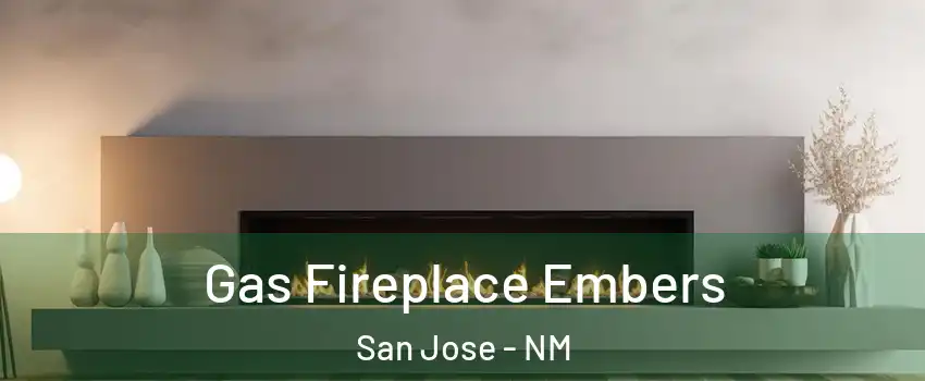 Gas Fireplace Embers San Jose - NM