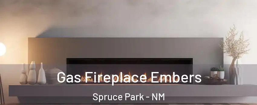 Gas Fireplace Embers Spruce Park - NM