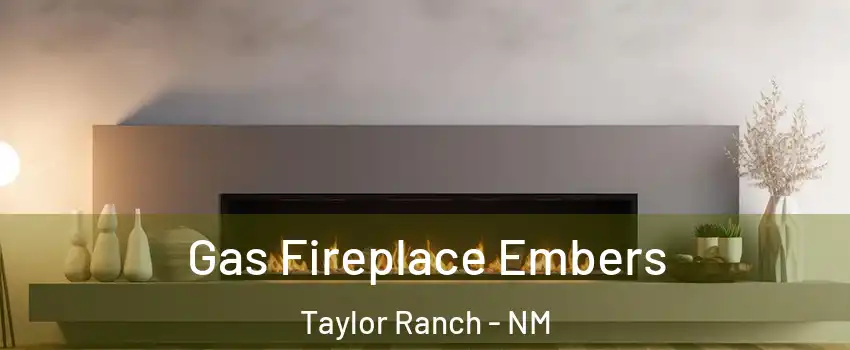 Gas Fireplace Embers Taylor Ranch - NM
