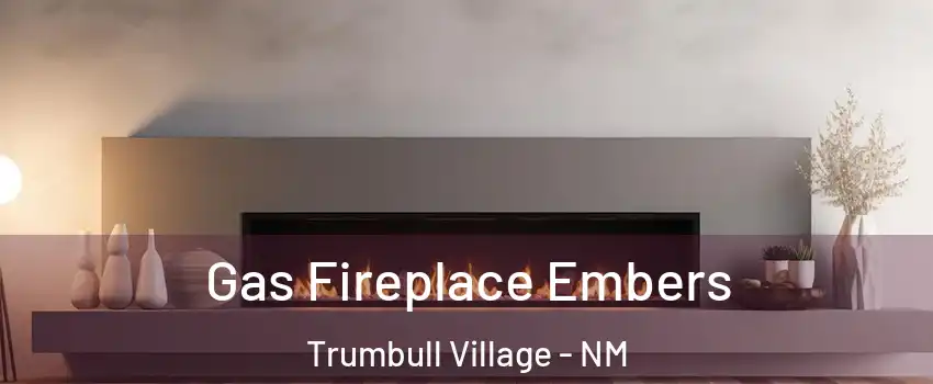 Gas Fireplace Embers Trumbull Village - NM
