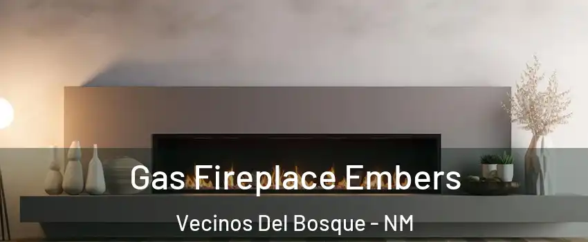 Gas Fireplace Embers Vecinos Del Bosque - NM