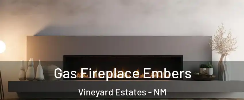 Gas Fireplace Embers Vineyard Estates - NM