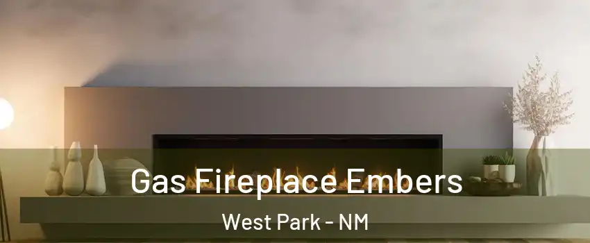 Gas Fireplace Embers West Park - NM