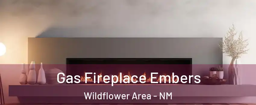 Gas Fireplace Embers Wildflower Area - NM