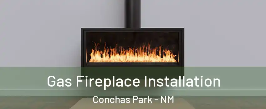 Gas Fireplace Installation Conchas Park - NM