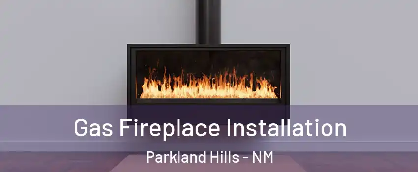 Gas Fireplace Installation Parkland Hills - NM