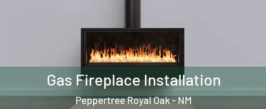 Gas Fireplace Installation Peppertree Royal Oak - NM