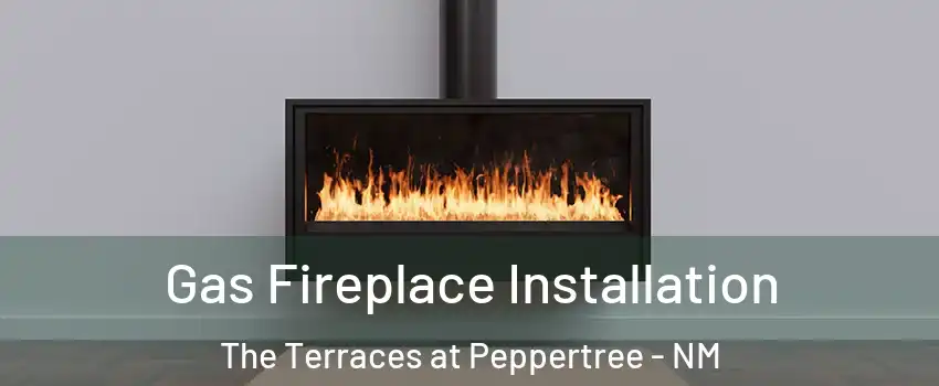 Gas Fireplace Installation The Terraces at Peppertree - NM