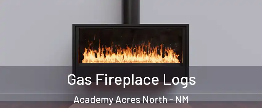 Gas Fireplace Logs Academy Acres North - NM