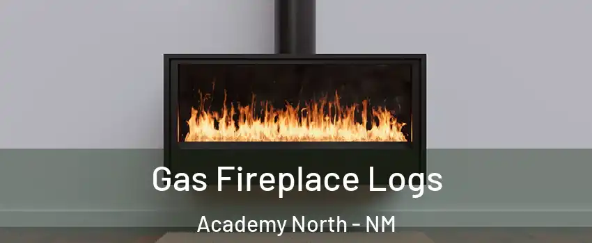 Gas Fireplace Logs Academy North - NM
