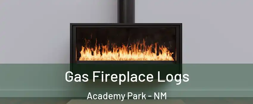 Gas Fireplace Logs Academy Park - NM