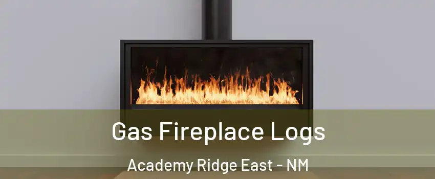 Gas Fireplace Logs Academy Ridge East - NM