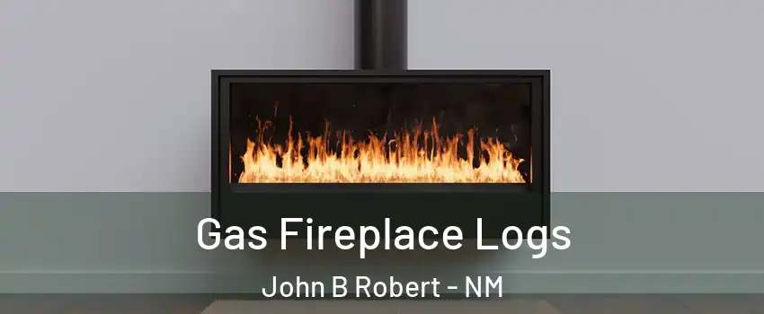 Gas Fireplace Logs John B Robert - NM