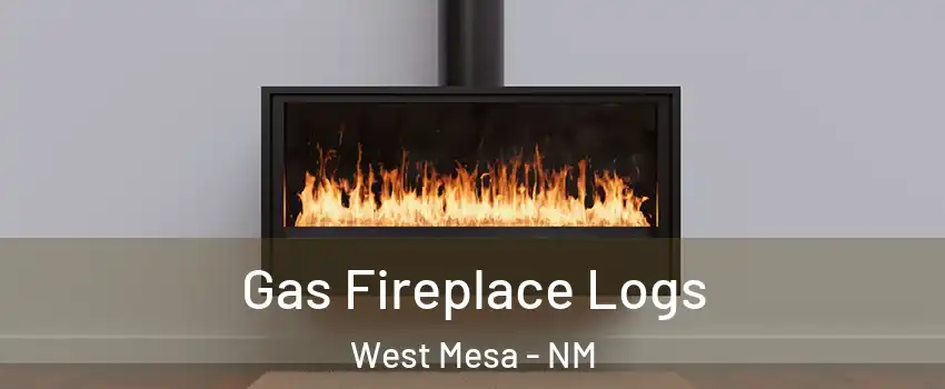 Gas Fireplace Logs West Mesa - NM