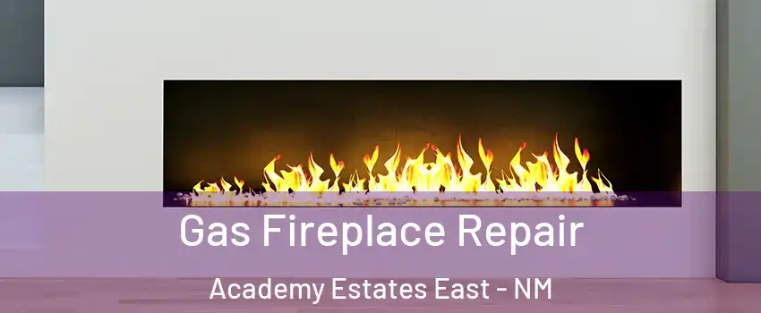Gas Fireplace Repair Academy Estates East - NM