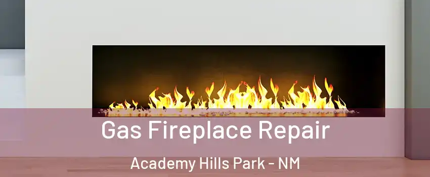 Gas Fireplace Repair Academy Hills Park - NM