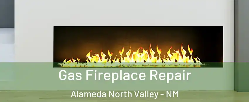 Gas Fireplace Repair Alameda North Valley - NM