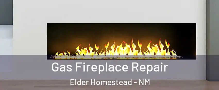 Gas Fireplace Repair Elder Homestead - NM