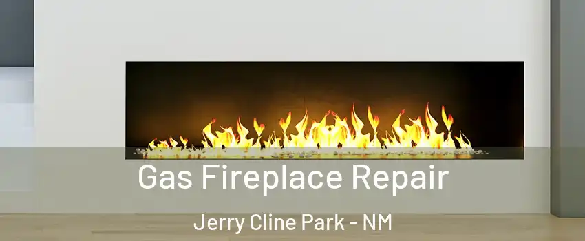 Gas Fireplace Repair Jerry Cline Park - NM