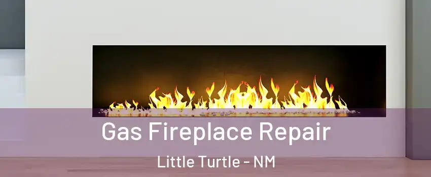 Gas Fireplace Repair Little Turtle - NM