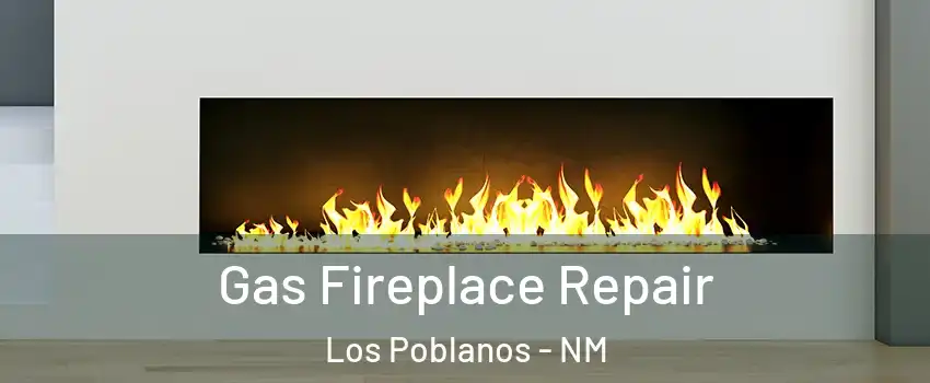 Gas Fireplace Repair Los Poblanos - NM