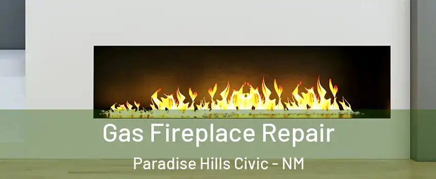 Gas Fireplace Repair Paradise Hills Civic - NM