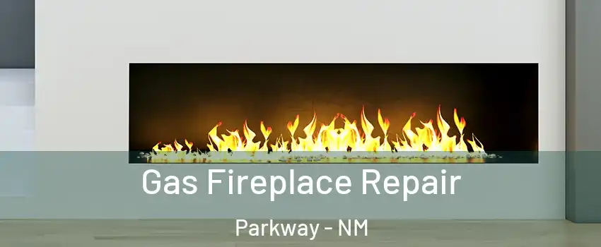 Gas Fireplace Repair Parkway - NM