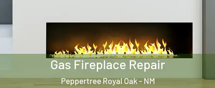 Gas Fireplace Repair Peppertree Royal Oak - NM