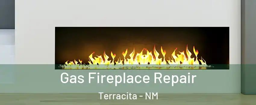 Gas Fireplace Repair Terracita - NM