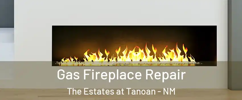Gas Fireplace Repair The Estates at Tanoan - NM
