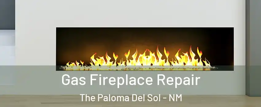Gas Fireplace Repair The Paloma Del Sol - NM