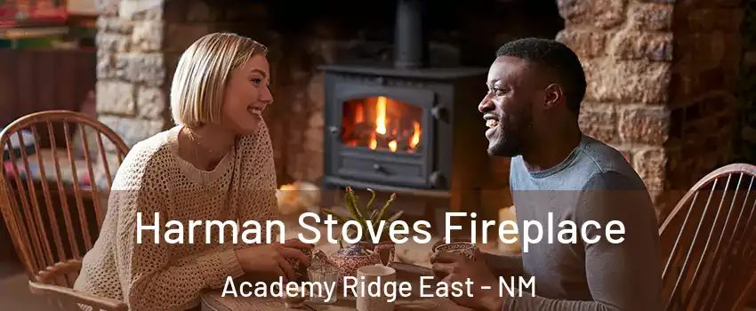 Harman Stoves Fireplace Academy Ridge East - NM