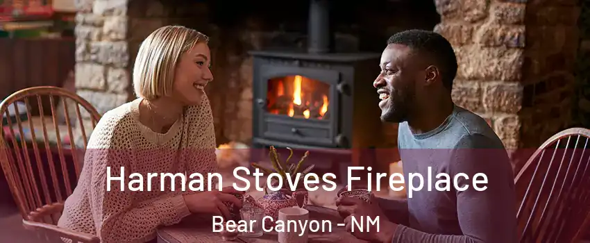Harman Stoves Fireplace Bear Canyon - NM