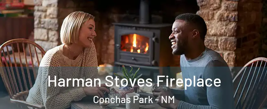 Harman Stoves Fireplace Conchas Park - NM
