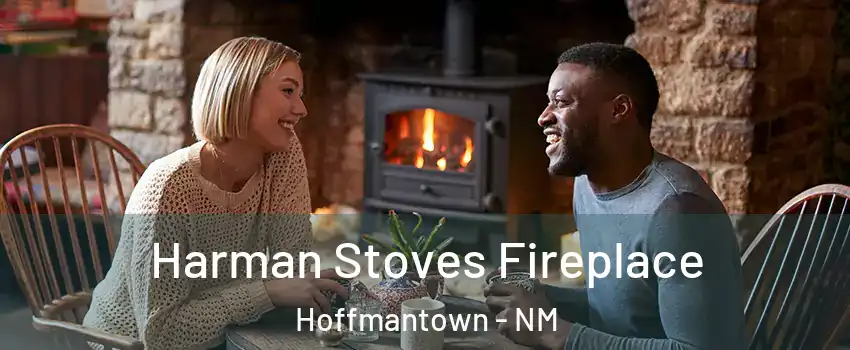 Harman Stoves Fireplace Hoffmantown - NM