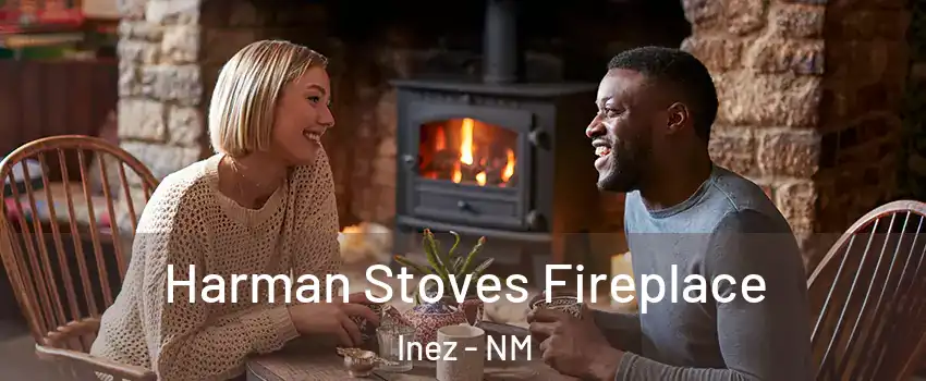Harman Stoves Fireplace Inez - NM