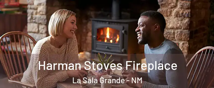 Harman Stoves Fireplace La Sala Grande - NM