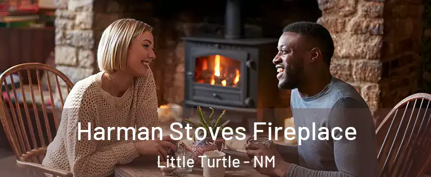 Harman Stoves Fireplace Little Turtle - NM