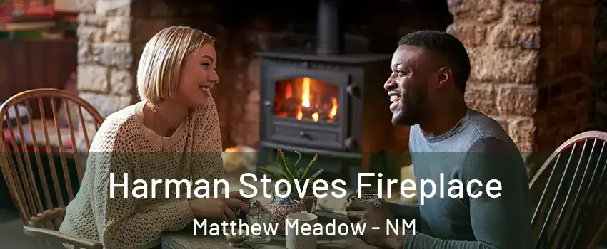 Harman Stoves Fireplace Matthew Meadow - NM