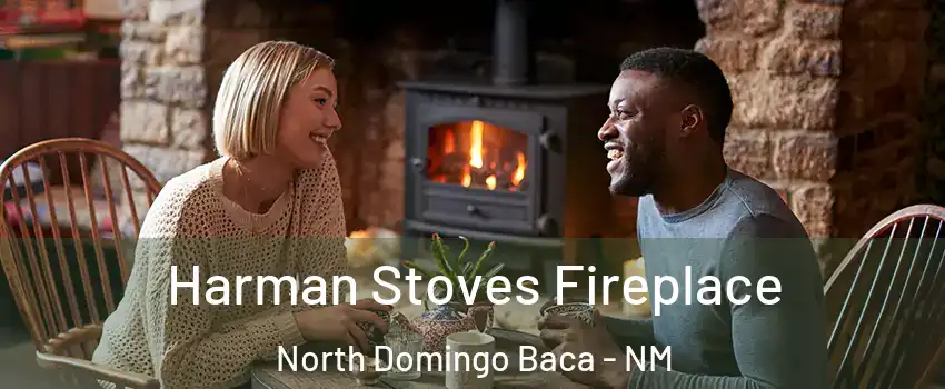 Harman Stoves Fireplace North Domingo Baca - NM