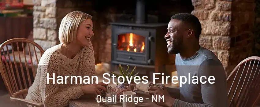 Harman Stoves Fireplace Quail Ridge - NM