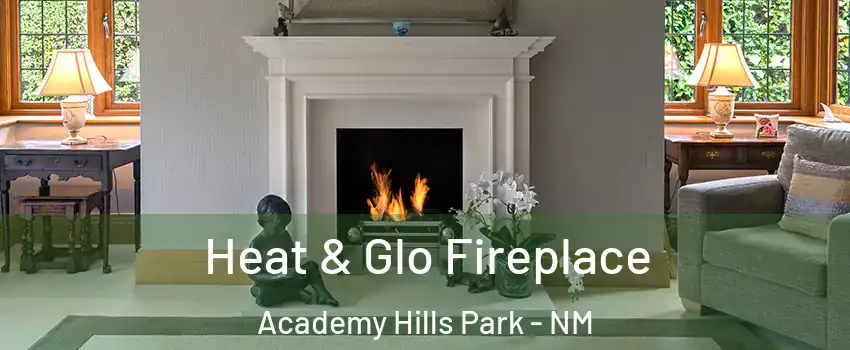 Heat & Glo Fireplace Academy Hills Park - NM