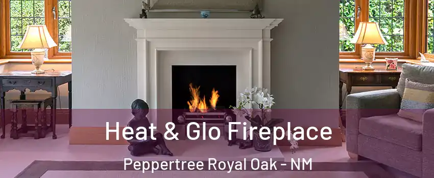 Heat & Glo Fireplace Peppertree Royal Oak - NM