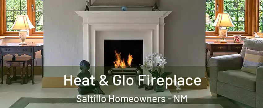Heat & Glo Fireplace Saltillo Homeowners - NM
